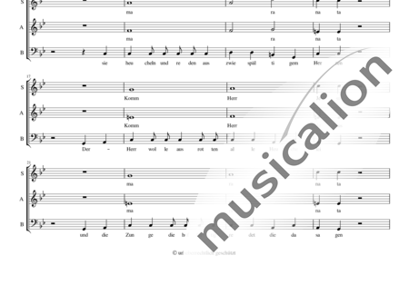 Composer, Minus: Psalm 12 - Chor>SAB:1