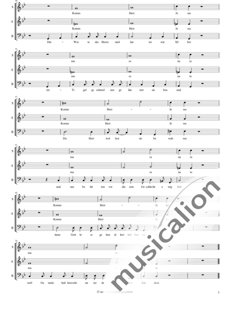 Composer, Minus: Psalm 12 - Chor>SAB:3