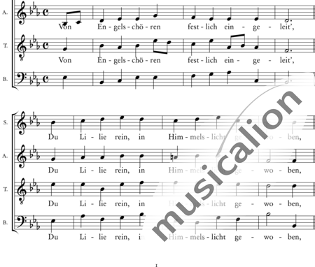 Hoheisel-Gruler, Roland: O Königin - Chor>SATB:1