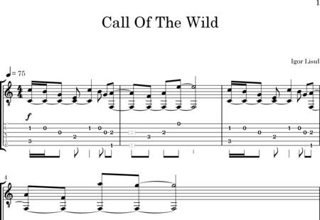 Lisul, Igor: Call Of The Wild - Gitarre:0