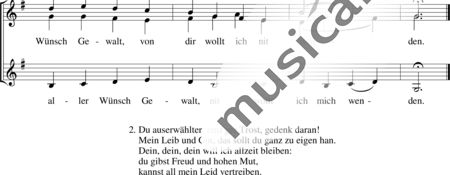 Anonymus, Unknown: All mein Gedanken die ich hab - Choir>SSA:1