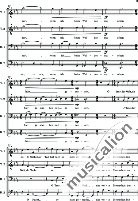 Pohle, Rolf: Der Einsiedler - Chor>TTBB:3