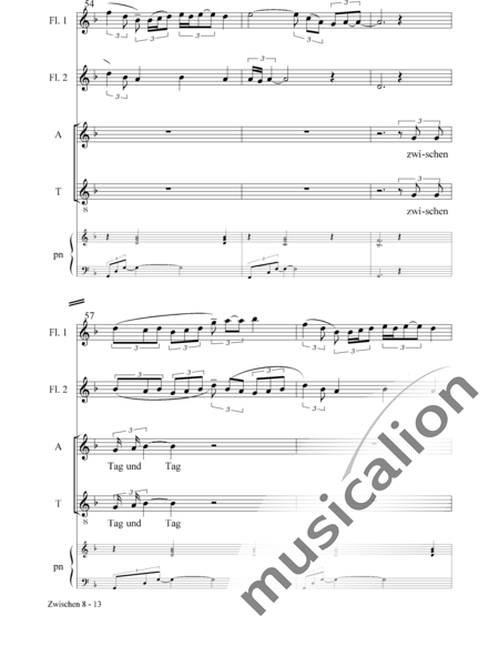 Scharring, Stefan
: Entre - Coro>SATB+Piano+Fl2:8