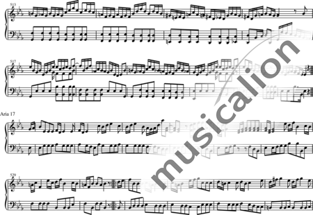 Gass, Felix : Orgelwerk - Orgel:20