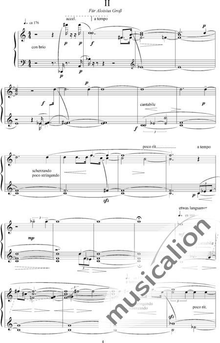 Mirza, Pervez: Khali - Klavier:5
