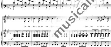 Schubert, Franz (Peter): Die Post (Von der Straße her) - Solo>Alt+Klavier:1