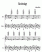Noten