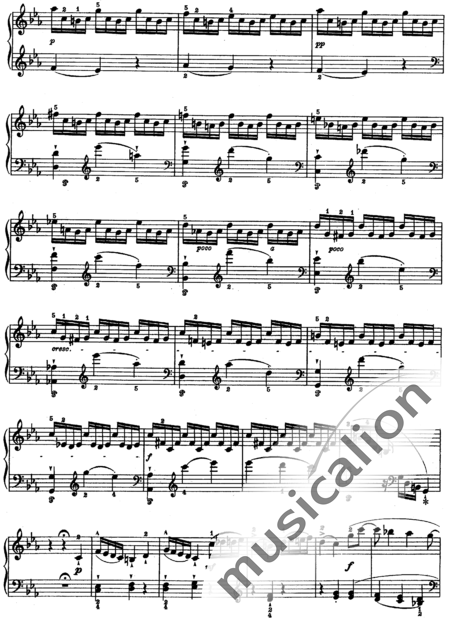 Haydn, (Franz) Joseph: Piano Sonata in C Minor, 3rd mvt Finale: Allegro - Piano:5
