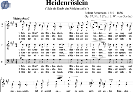 Schumann, Robert: Heidenröslein (Sah ein Knab ein Röslein stehn) - Choir>SATB:0