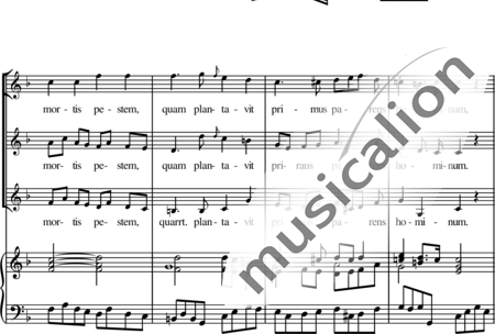 Haydn, (Johann) Michael
: Stella Coeli (Star of Heaven) - Coro>SSA+Órgano:1
