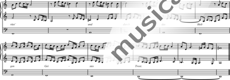 Scheidt, Samuel: Führ uns, Herr - Organ:2