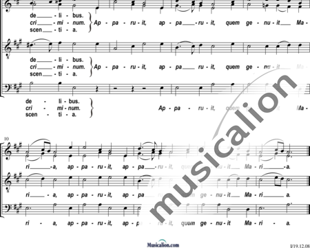 Schubiger, Anselm: Resonet in laudibus - Chor>SATB:1