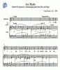Noten