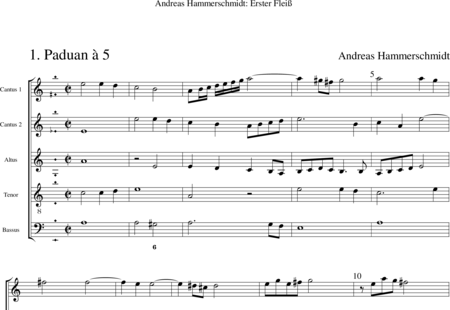 Hammerschmidt, Andreas
: Paduan à 5 (1) - Violín 2+Viola+BC+Vc:0