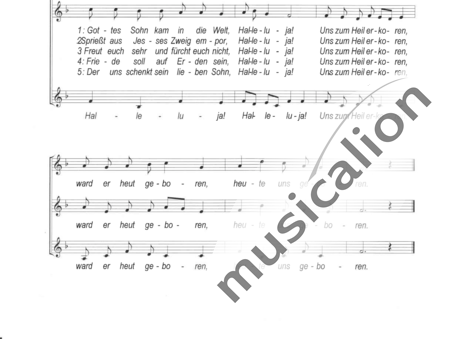 Bermpohl, Siegbert: Freu dich Erd und Sternenzelt - Chor>SSA:1