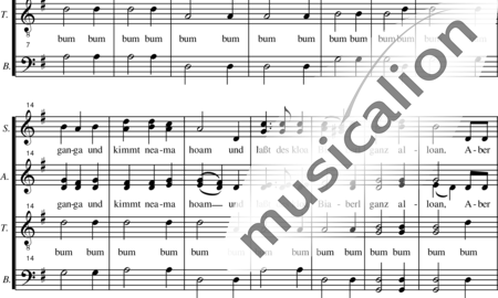 Anónimo, desconocido: Heidschi bumbeidschi - Coro>SATB:1