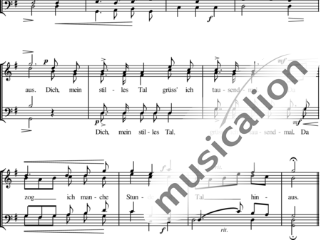 Wohlgemuth, Gustav : The Silent Valley - Coro>TTBB:1