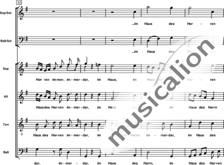 Vogel, Mario
: Salmo 23 Nr. 5 Dúo y Chor - Solo>sop/bajo+Coro>SATB+Ob+BC+[Vl+Vla]:44