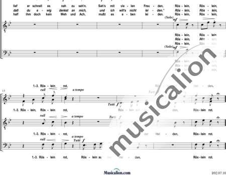 Hauptmann, Moritz: Heidenröslein ("Sah ein Knab ein Röslein stehn") - Chor>SATB:1