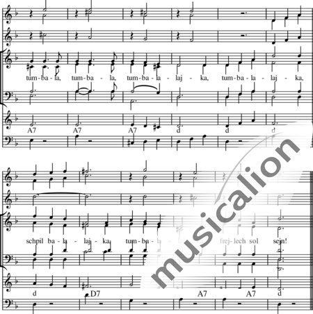 Sluyterman, Bernhard: Tumbalalaika (Schtejt a bocher uner tracht) - Choir>SATB+Fl2+Gtr+[Vln+Db]:2