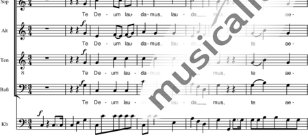 Führer, Robert
: Te Deum - Coro>SATB+Fl+[Trb2+Trp2]+[Vl2+Cb]:1