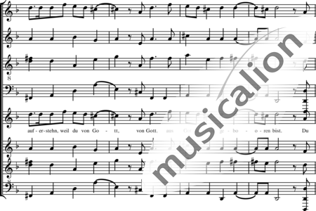 Börner, Martin: No. 22 - Horn+Trumpet+[Tbn+Tb]:8