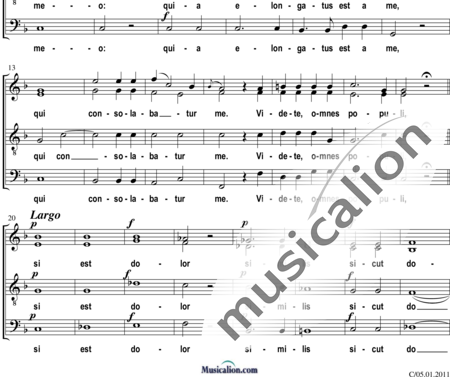 Haydn, (Johann) Michael: Caligaverunt oculi mei (Responsorium) - Choir>SATB:1