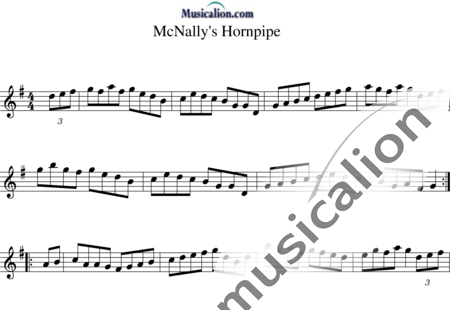 Anonymus, Unknown: McNally's Hornpipe - Flute:0
