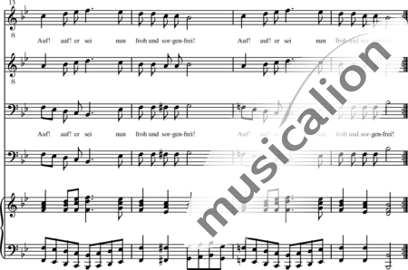 Schubert, Franz (Peter): Trinklied - Chor>TTBB+Klavier:3