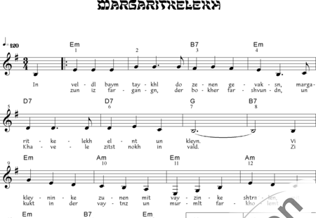 Anonymus, Unknown: Margaritkelekh - Melodies and Chords:0