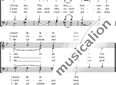 Meglitsch, Klaus: O Tannenbaum - Chor>SATB:1
