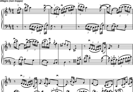 Haydn, (Franz) Joseph: Duett für Violine und Cello in D-Dur 3. Satz - Violine+Violoncello:0