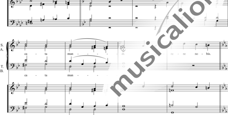 Sunnen-Desquiotz, Noémie: Mass in D Major: Agnus Dei - Coro>SATB+Órgano:1