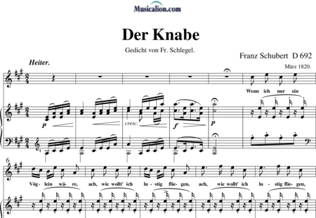Schubert, Franz (Peter): Der Knabe - Solo>sop+Piano:0