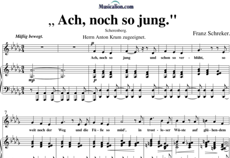 Schreker, Franz: Ach, noch so jung - Solo>Sop+Klavier:0