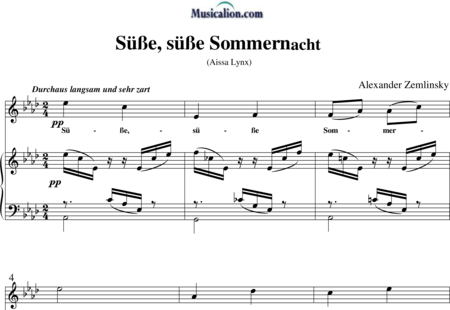 Zemlinsky, Alexander: Süße, süße Sommernacht - Solo>sop+Piano:0
