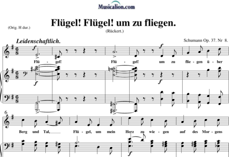 Schumann, Robert: Flügel! Flügel! um zu fliegen - Solo>sop+Piano:0