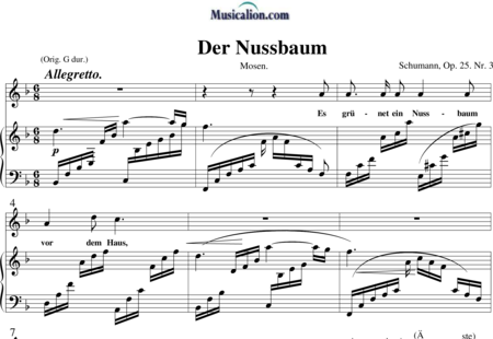 Schumann, Robert: Der Nussbaum - Solo>sop+Piano:0