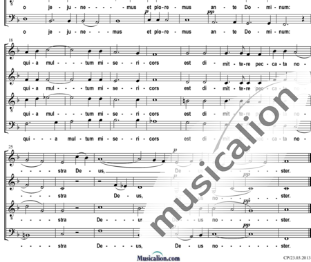 Nunes Garcia, José Maurício: Immutemur habitu - Choir>SATB:1