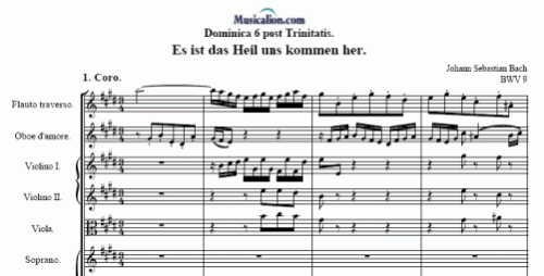 Noten