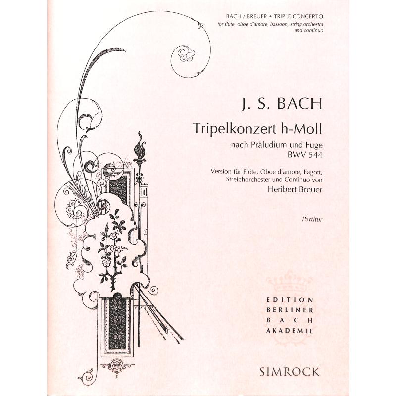 Tripelkonzert h-Moll