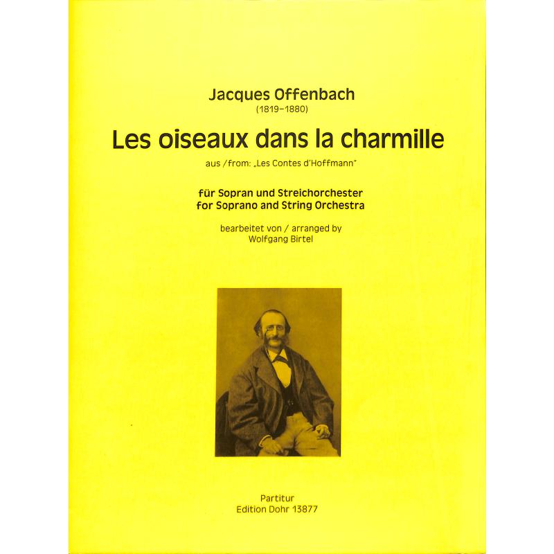 Les oiseaux dans la chamille