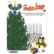 Festive Strings